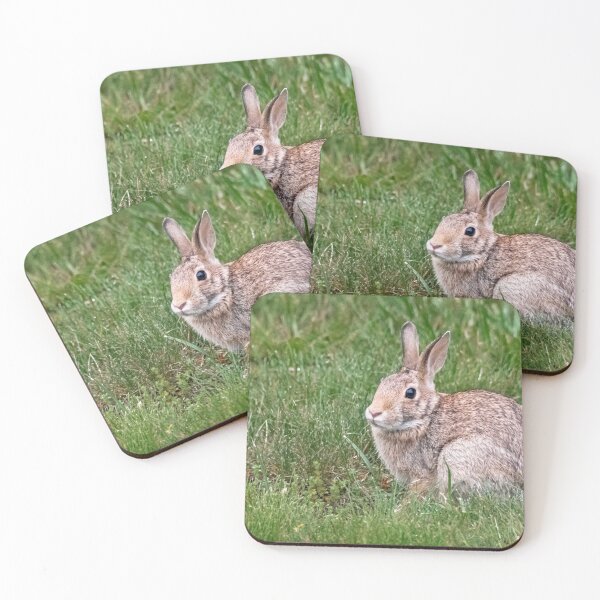 Item preview, A Rabbit In The Grass designed and sold by NewEndeavors.
