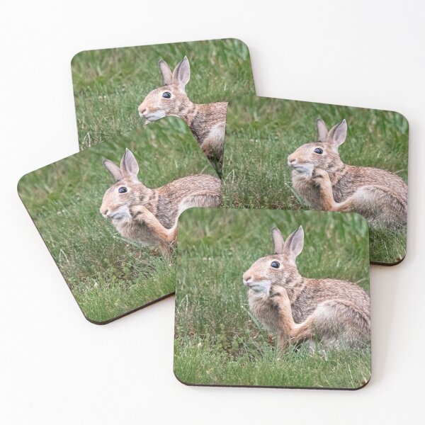 Item preview, Scratching Where It Itches designed and sold by NewEndeavors.