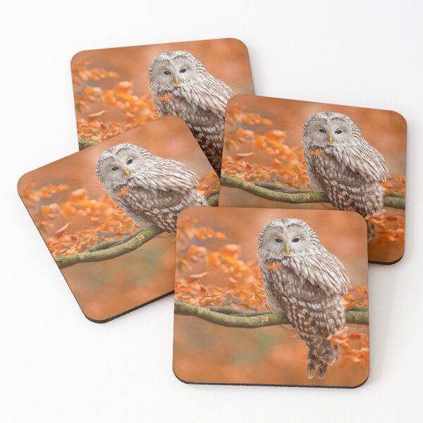 Item preview, Ural Owl in Autumn designed and sold by Maddie4Real.