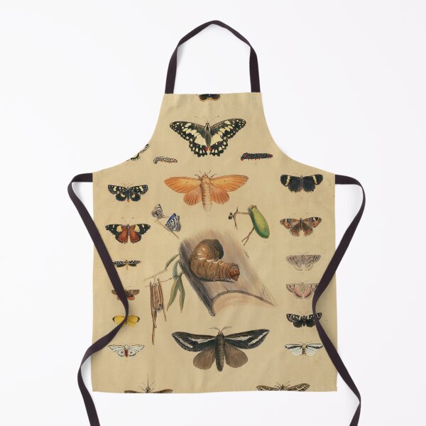 Item preview, Entomology of South Australia - Lepidoptera  designed and sold by State Library of South Australia.