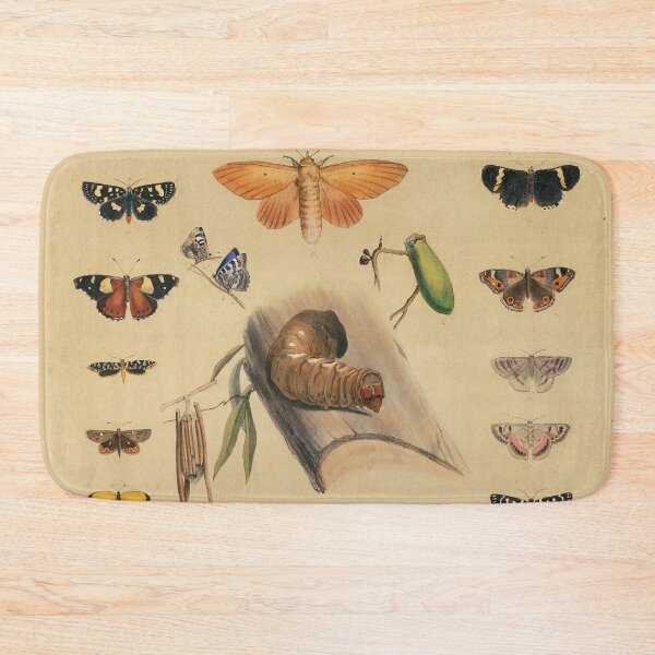 Item preview, Entomology of South Australia - Lepidoptera  designed and sold by State Library of South Australia.