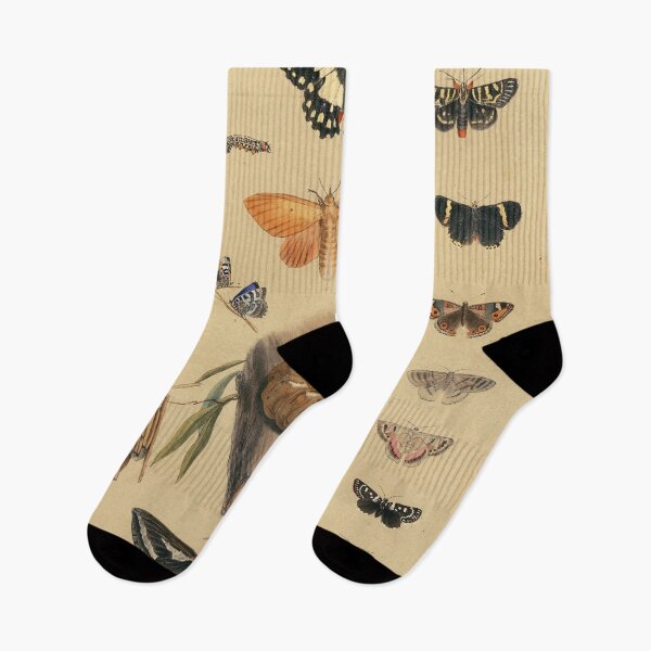 Item preview, Entomology of South Australia - Lepidoptera  designed and sold by State Library of South Australia.