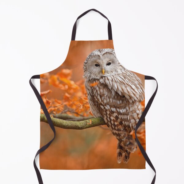 Item preview, Ural Owl in Autumn designed and sold by Maddie4Real.