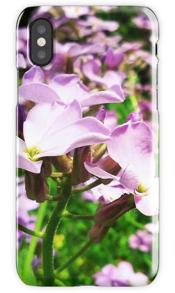 "Wildflowers. " iPhone Cases & Skins by silviasunflower Redbubble