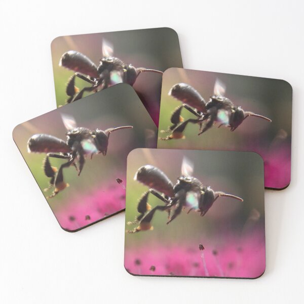 Item preview, Native Stingless Bee Flying Over Pink Flowers designed and sold by IMPHives.