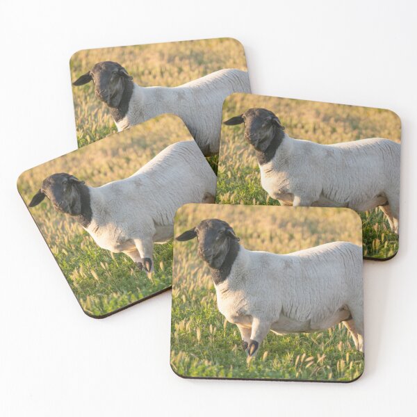 Item preview, Cho - Queen of the sheep! designed and sold by twelvepointfour.