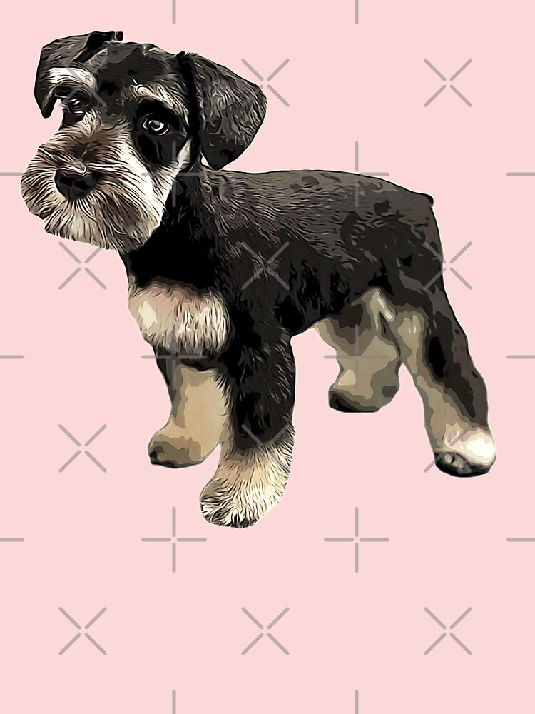 Baby best sale black schnauzer