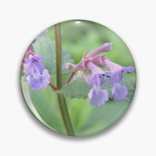 Item preview, Little purple flowers up close designed and sold by greentiger1.