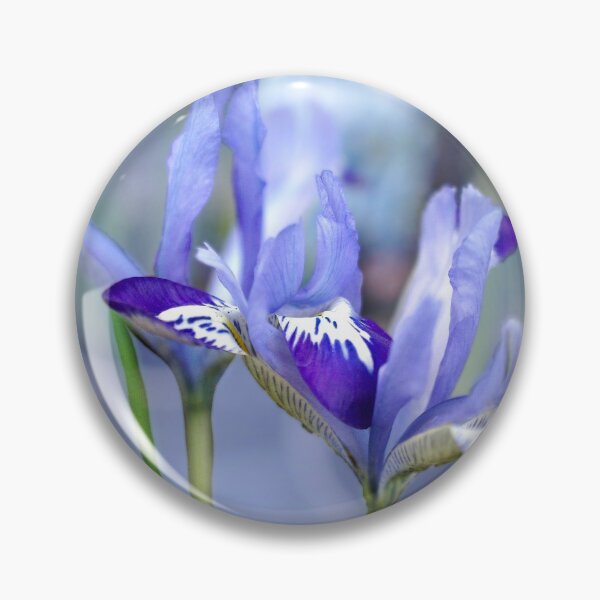 Item preview, Dreamy Irises designed and sold by Alisonchambers2.