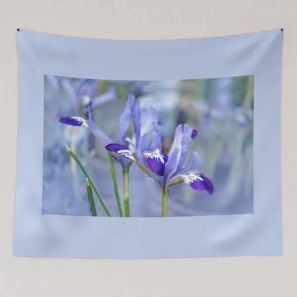 Item preview, Dreamy Irises designed and sold by Alisonchambers2.