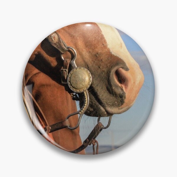 Item preview, Bridle Horse designed and sold by tahoetackntrain.