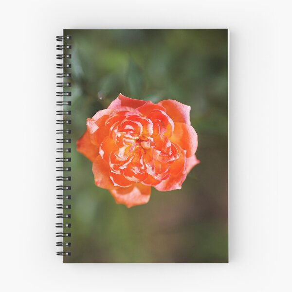 Item preview, Small Carpet Rose Red designed and sold by Joy Watson - Natural Light Photography .