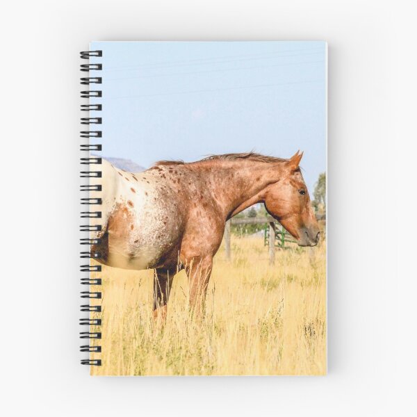 Item preview, Grazing Appaloosa designed and sold by tahoetackntrain.