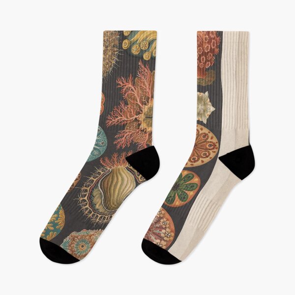 Item preview, Vintage Aquatic life Collection C: 1899 designed and sold by joyousEarth.