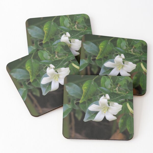Item preview, White tropical flower designed and sold by greentiger1.