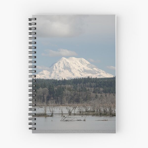 Artikelvorschau, Mount Rainier entworfen und verkauft von SDym Photography.