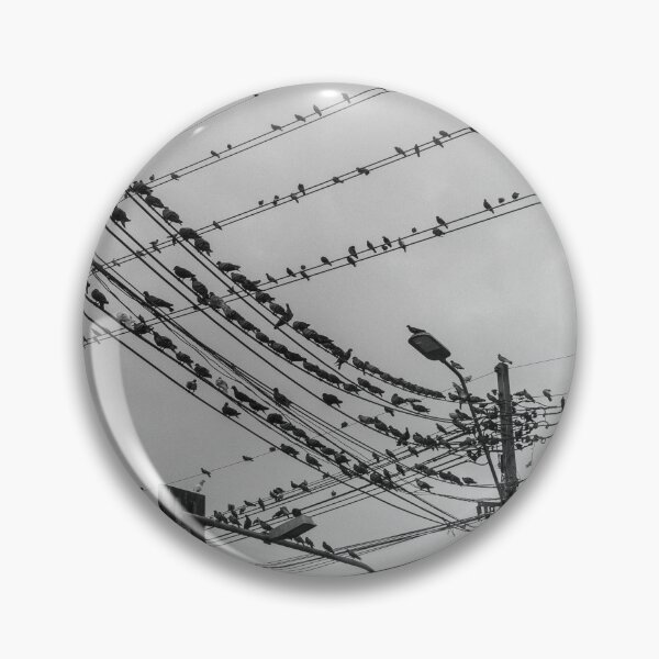 Item preview, Pigeons designed and sold by daldalhan.