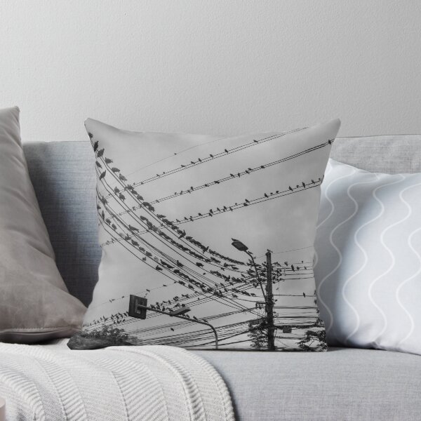 Item preview, Pigeons designed and sold by daldalhan.