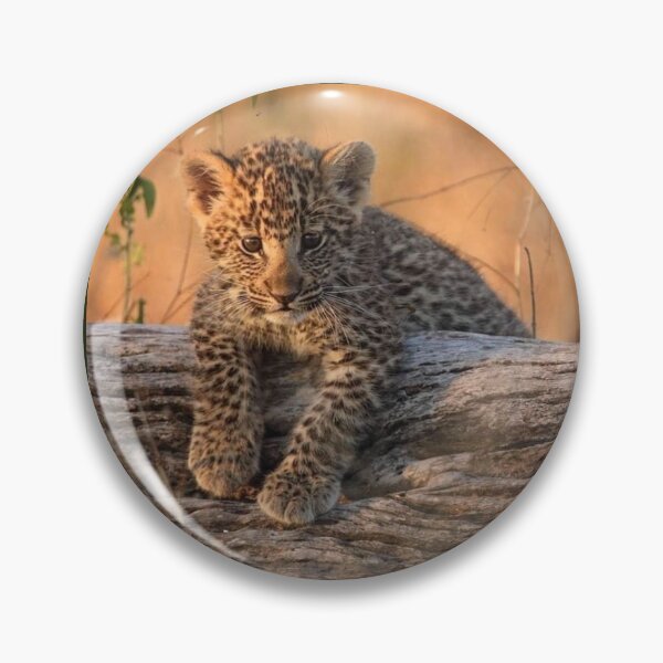 Item preview, Leopard Cub designed and sold by Maddie4Real.