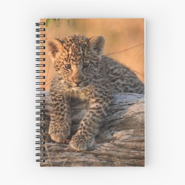 Item preview, Leopard Cub designed and sold by Maddie4Real.