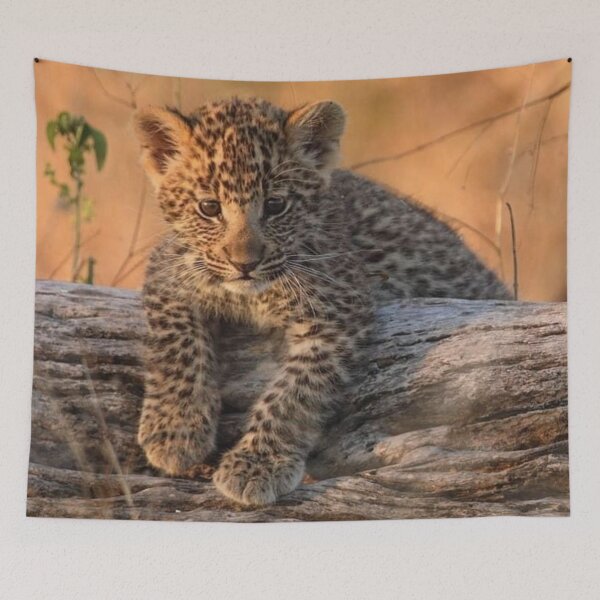 Item preview, Leopard Cub designed and sold by Maddie4Real.