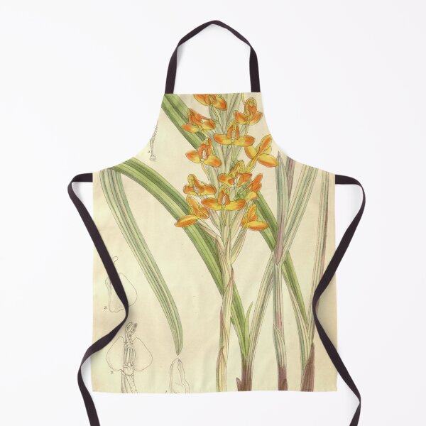 Item preview, Disa incarnata Curtis' 118 (Ser. 3 no. 48) pl 7243 (1892) designed and sold by EsotericBotanic.