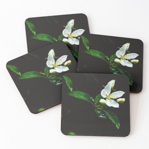 Item preview, Spring Tears designed and sold by lafernastudios.
