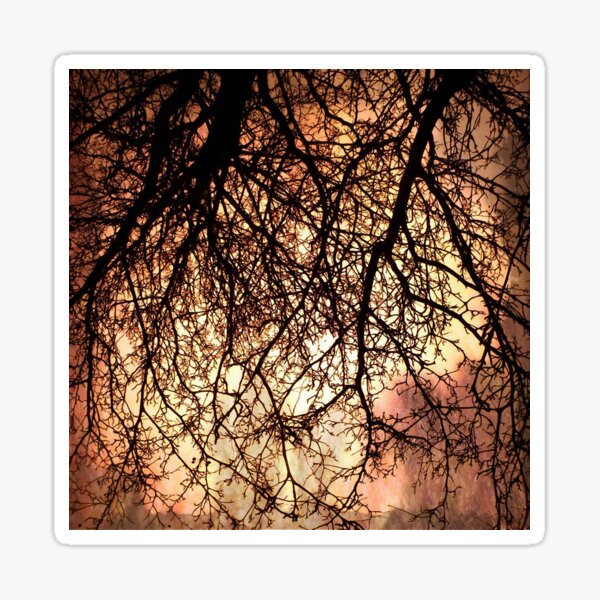 Veines d'arbres Sticker