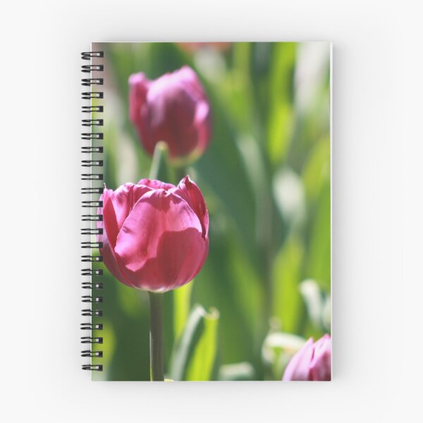 Artikelvorschau, Zurück zu den Fuschia entworfen und verkauft von Merverado.