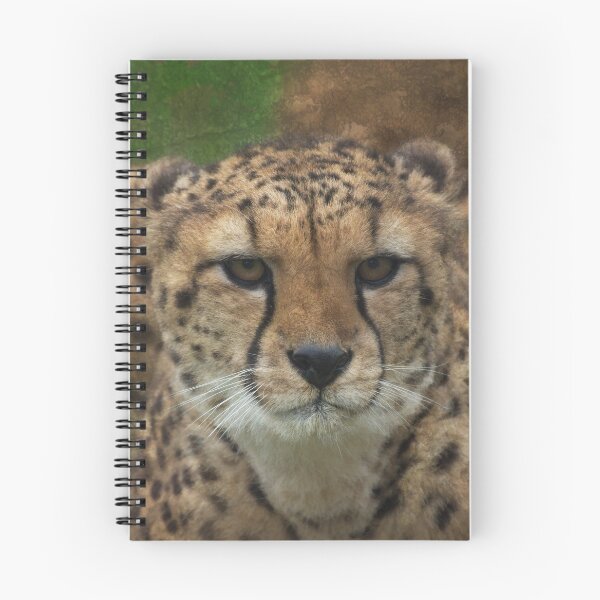 Item preview, Cheetah Stare Textured designed and sold by rawshutterbug.