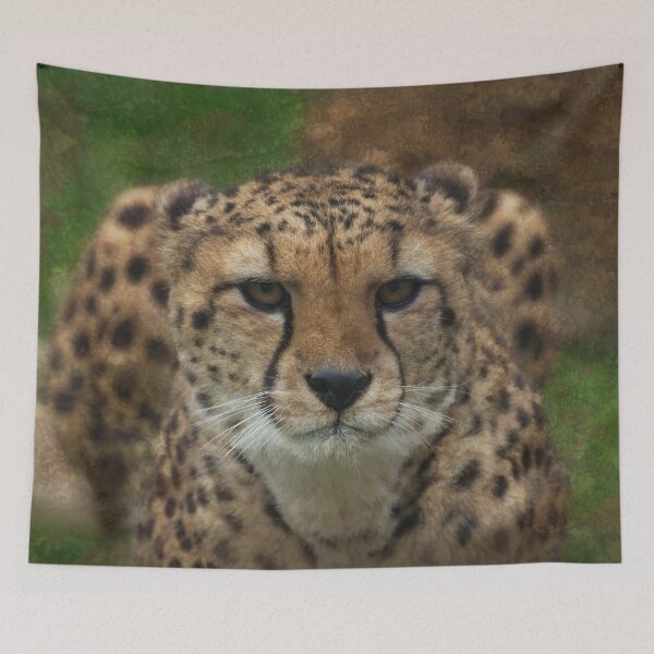 Item preview, Cheetah Stare Textured designed and sold by rawshutterbug.