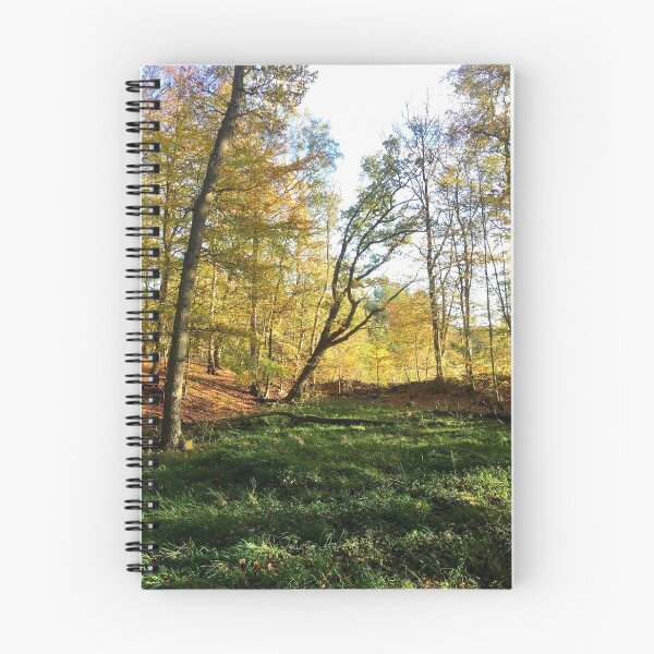 Item preview, The Autumn Rainbow designed and sold by Ravenvalley.