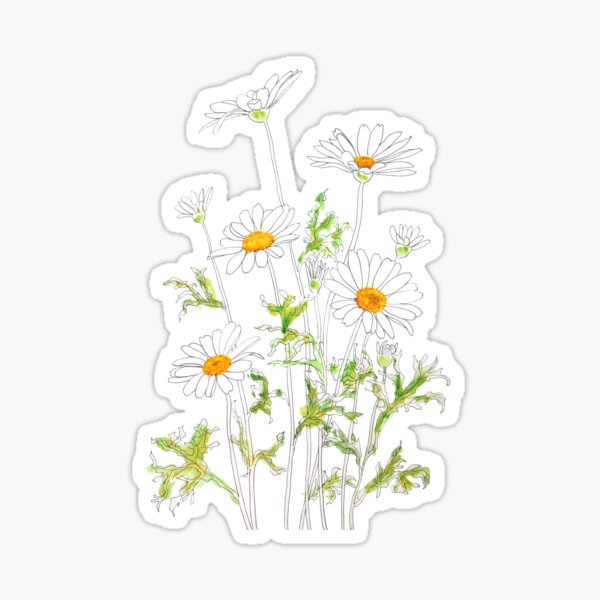 White Daisy Stickers for Sale