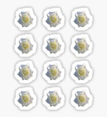 White Rose Sticker