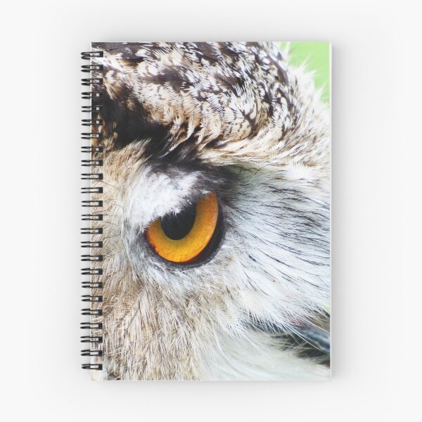 Item preview, eagle owl designed and sold by mikeloughlin.