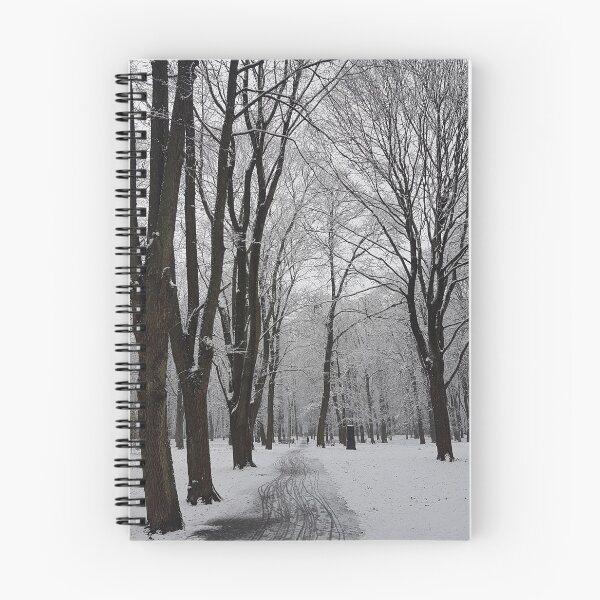Item preview, Winter walk designed and sold by Dace Kļava.