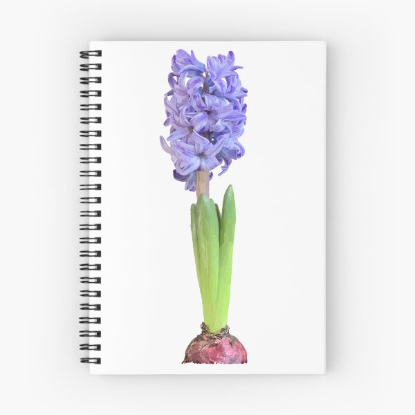 Item preview, hyacinth designed and sold by A-using-colors.