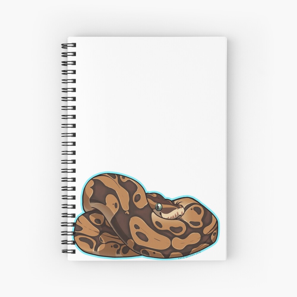 python notebooks