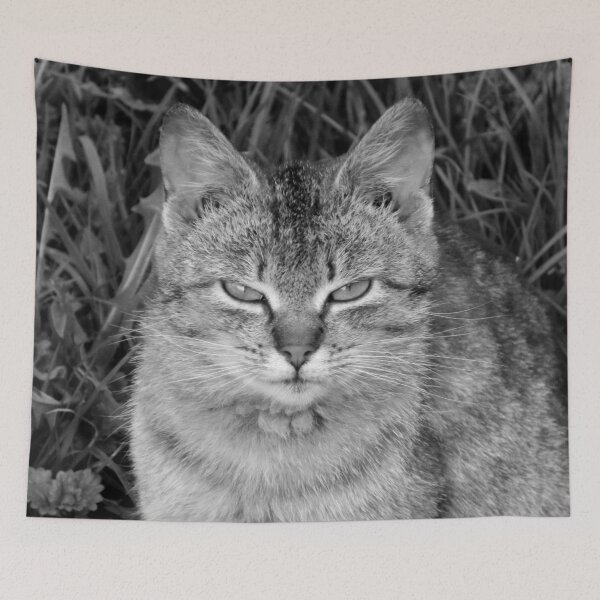 Item preview, Angry Cat designed and sold by NavorolArt.