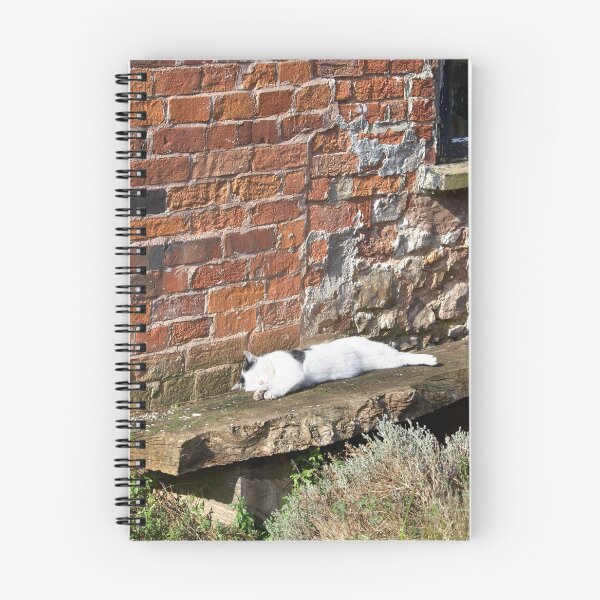 Item preview, Lazy Days designed and sold by Alexandra Lavizzari.