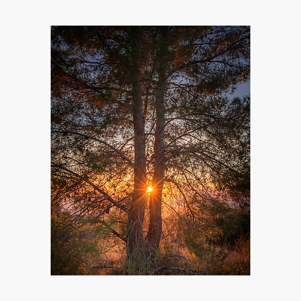 Photographic Print
