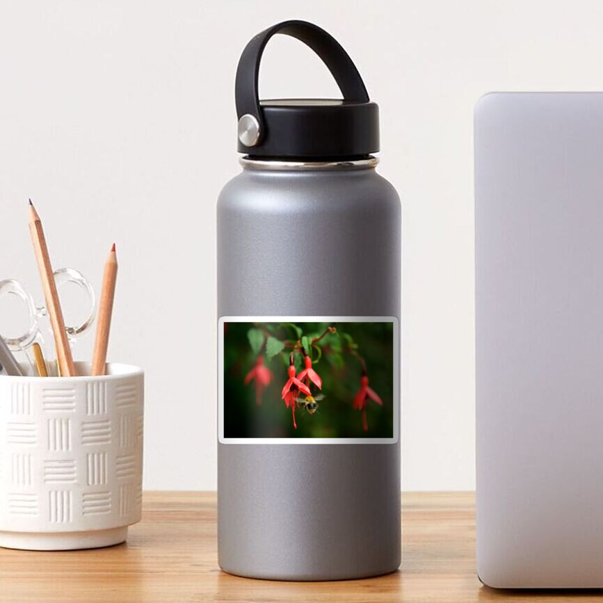 Fuchsia at Loch Na Fooey (wide) Sticker