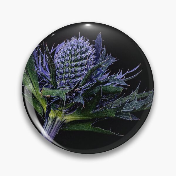 Item preview, Sea Holly, blue flower designed and sold by kathleenjean.