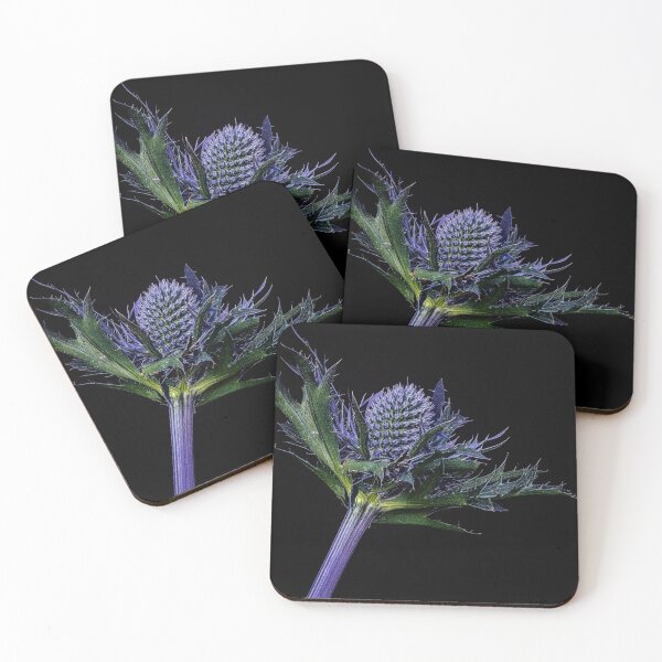 Item preview, Sea Holly, blue flower designed and sold by kathleenjean.