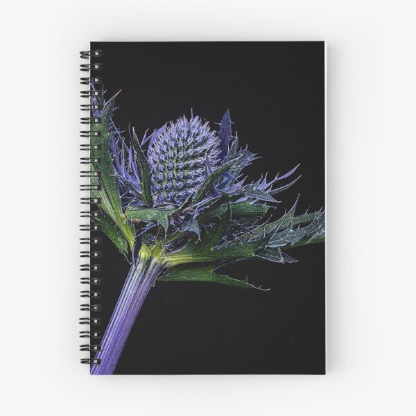 Item preview, Sea Holly, blue flower designed and sold by kathleenjean.