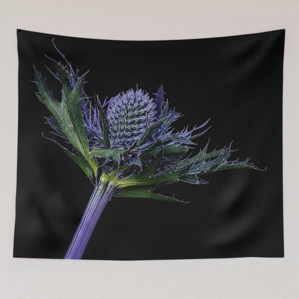 Item preview, Sea Holly, blue flower designed and sold by kathleenjean.