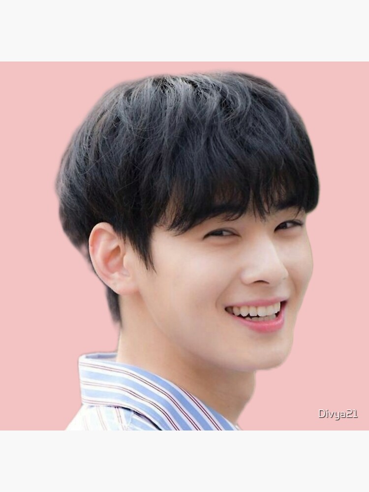 Cha eun woo astro member  Greeting Card for Sale by Divya21