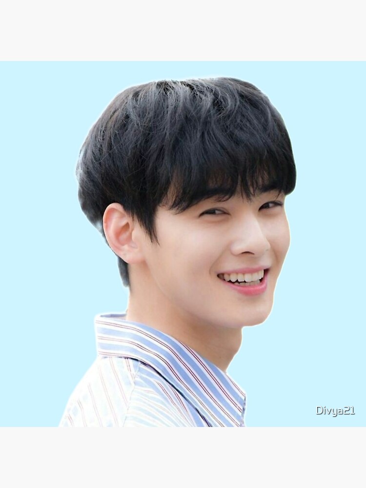 Cha eun woo astro member  Poster for Sale by Divya21