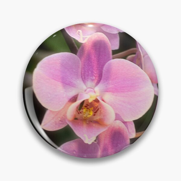 Item preview, Orchids in Pink designed and sold by Kathy Weaver.