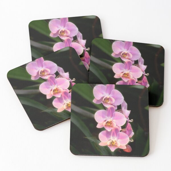 Item preview, Orchids in Pink designed and sold by Kathy Weaver.